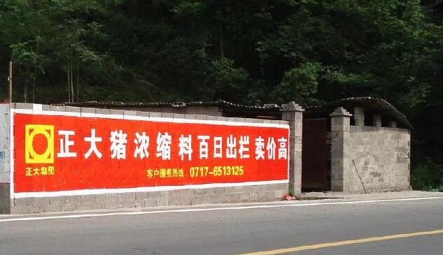 中国农村的刷墙广告有多野？ 移动互联网 第1张