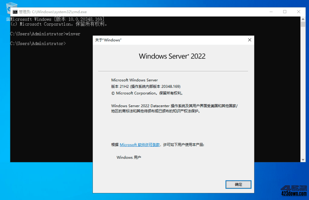 Windows Server 2022 21H2 (20348.1366)